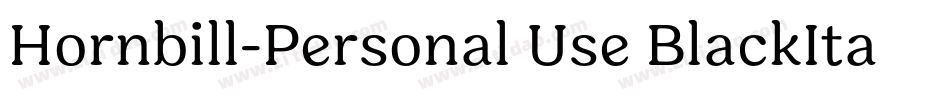 Hornbill-Personal Use BlackItalic字体转换